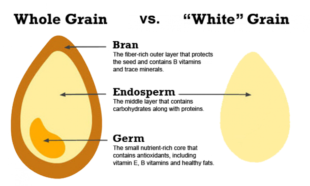 whole-grains-explained1-610x366